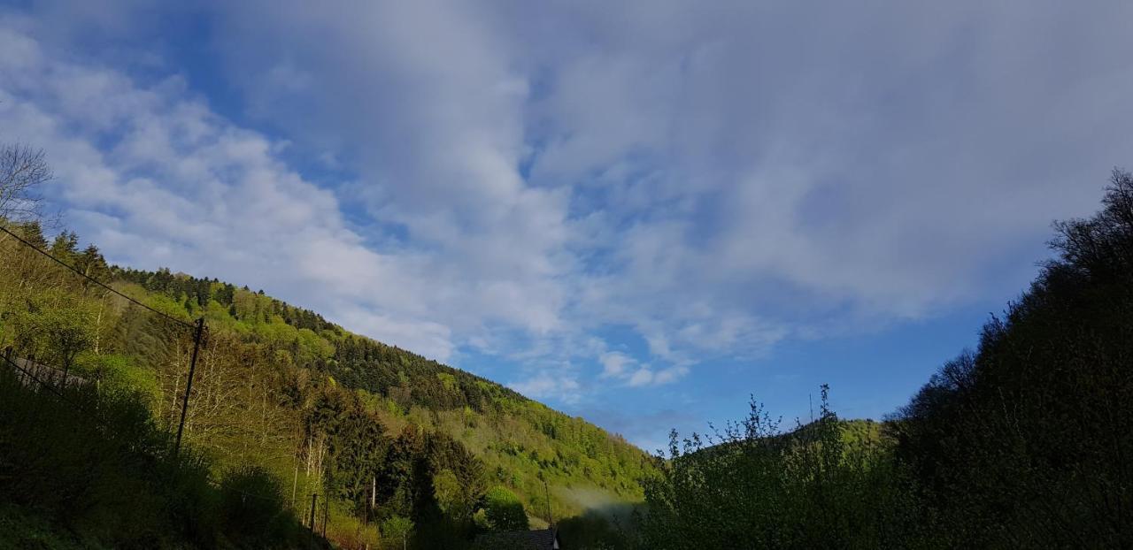 Gite Le Creux Chene Rombach-le-Franc Exteriér fotografie