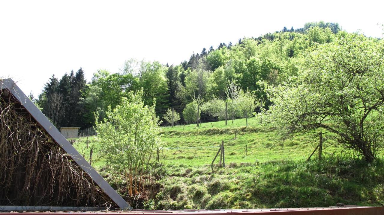 Gite Le Creux Chene Rombach-le-Franc Exteriér fotografie