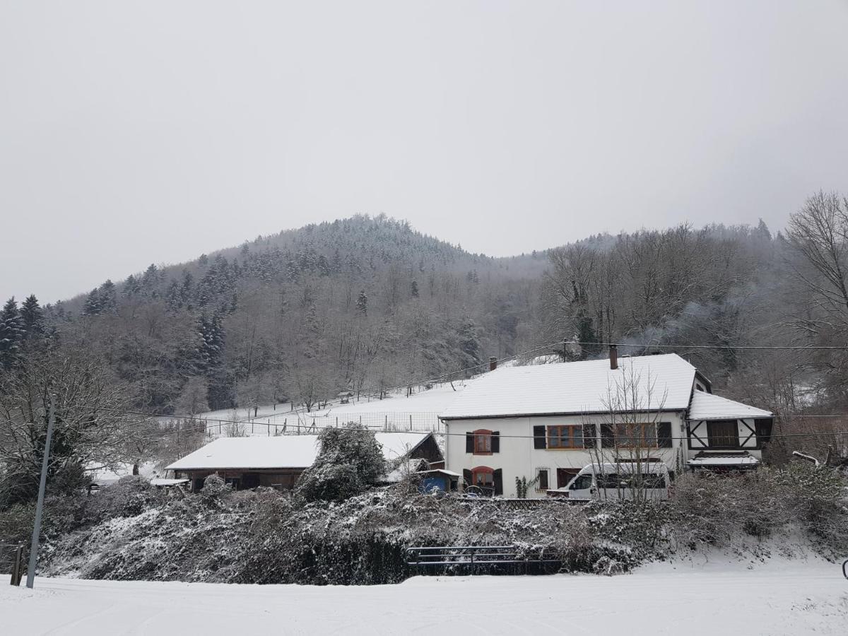 Gite Le Creux Chene Rombach-le-Franc Exteriér fotografie